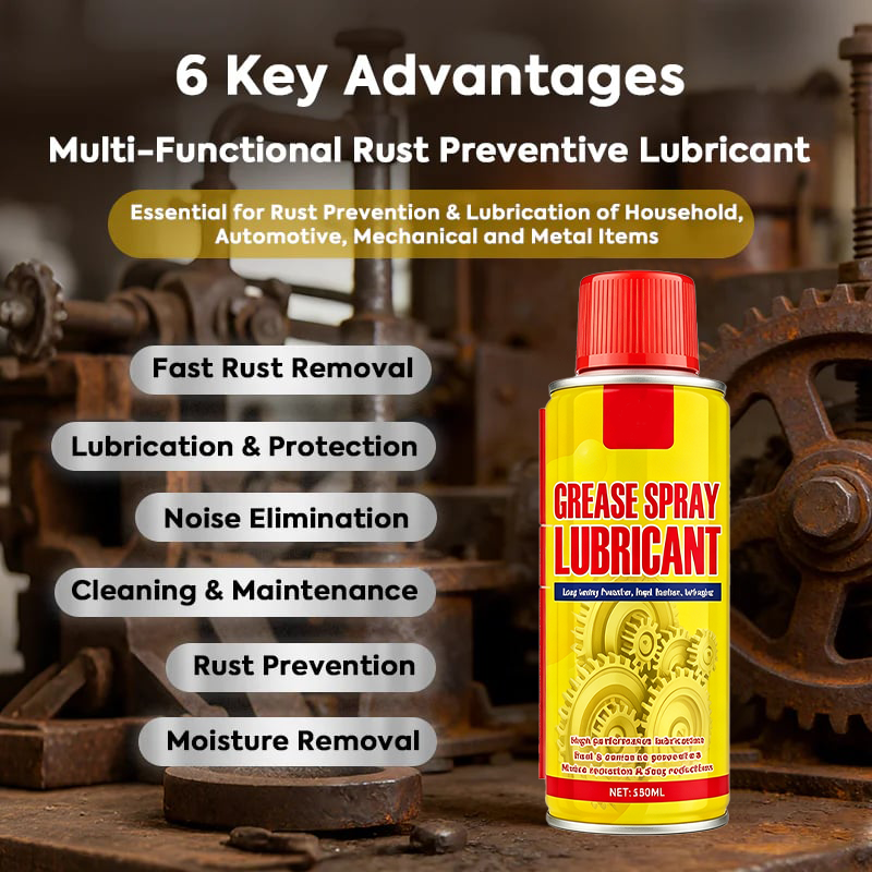 Anti-Rust Lubricant Spray & Rust Remover