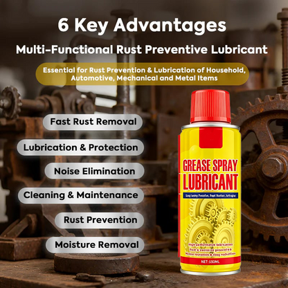 Anti-Rust Lubricant Spray & Rust Remover
