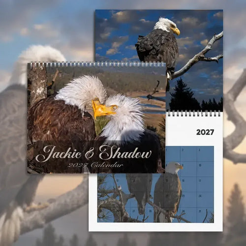 🔥😍Jackie & Shadow 2027 Bald Eagle Wall Calendar
