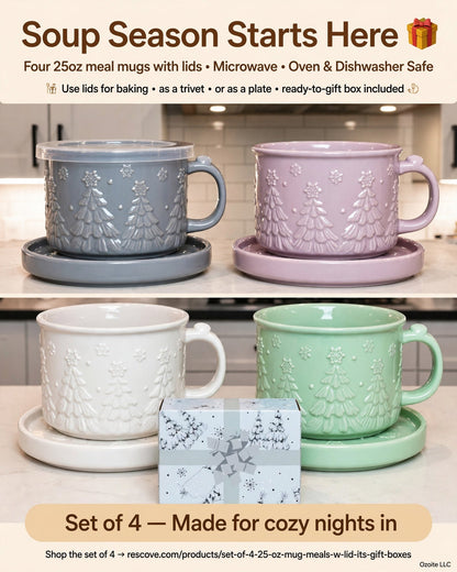 Set of (4) 25-Oz Mug Meals W/Lid-Its & Gift Boxes