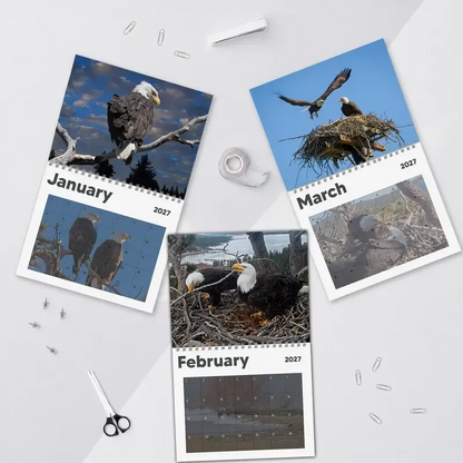🔥😍Jackie & Shadow 2027 Bald Eagle Wall Calendar