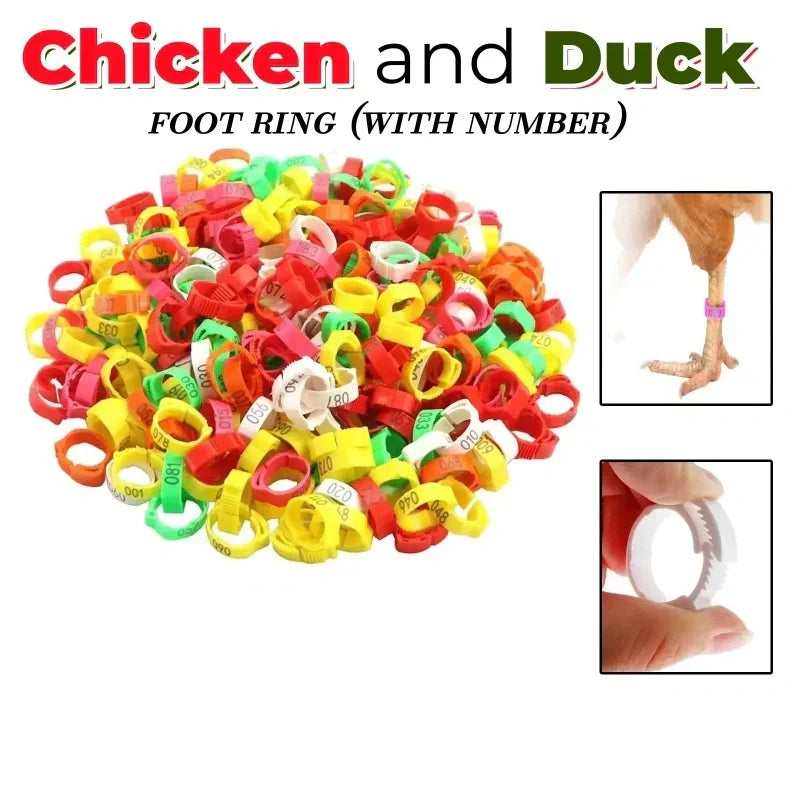 ⏰Adjustable Snap-On Poultry Leg Bands