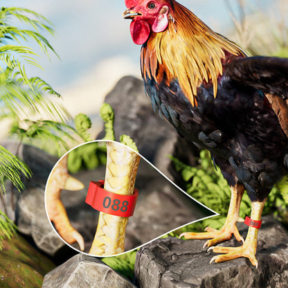 ⏰Adjustable Snap-On Poultry Leg Bands