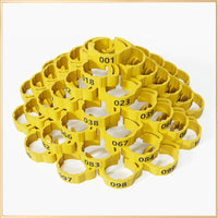 Yellow 1-100 Numbers