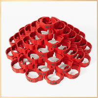 Red 1-100 Numbers