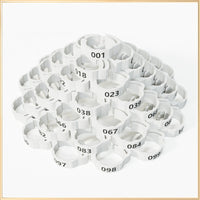 White 1-100 Numbers