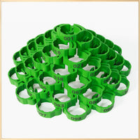 Green 1-100 Numbers
