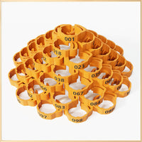 Orange 1-100 Numbers